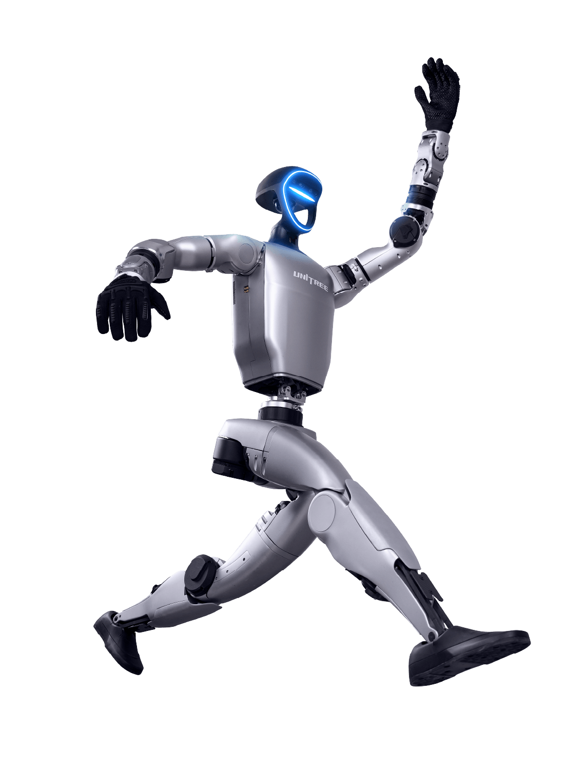 Humanoid Robot