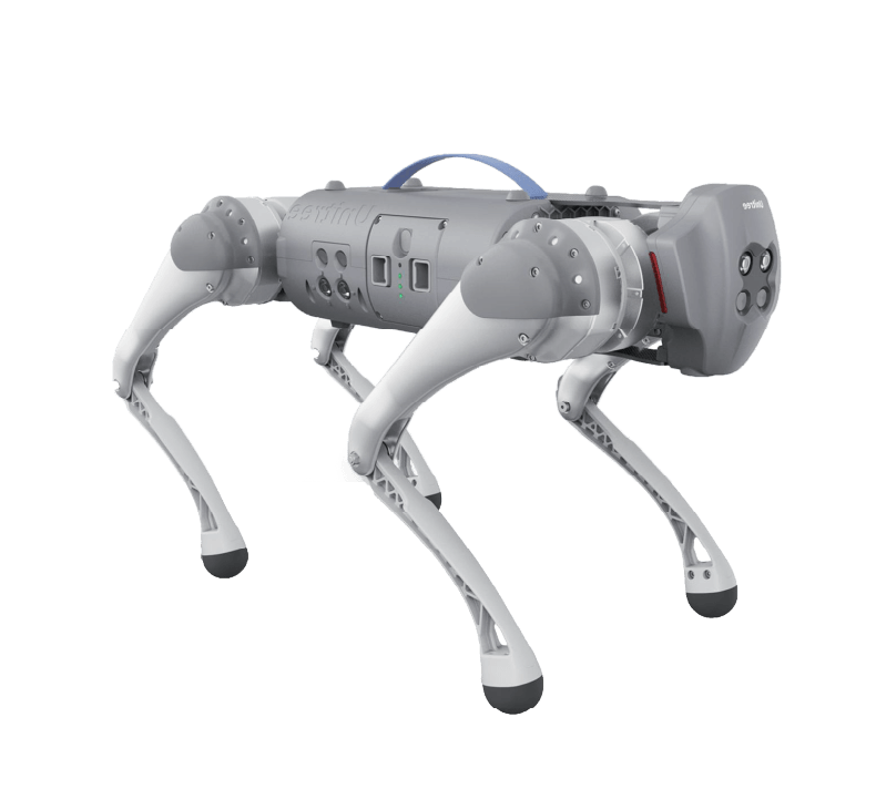 Quadrupedal Robot