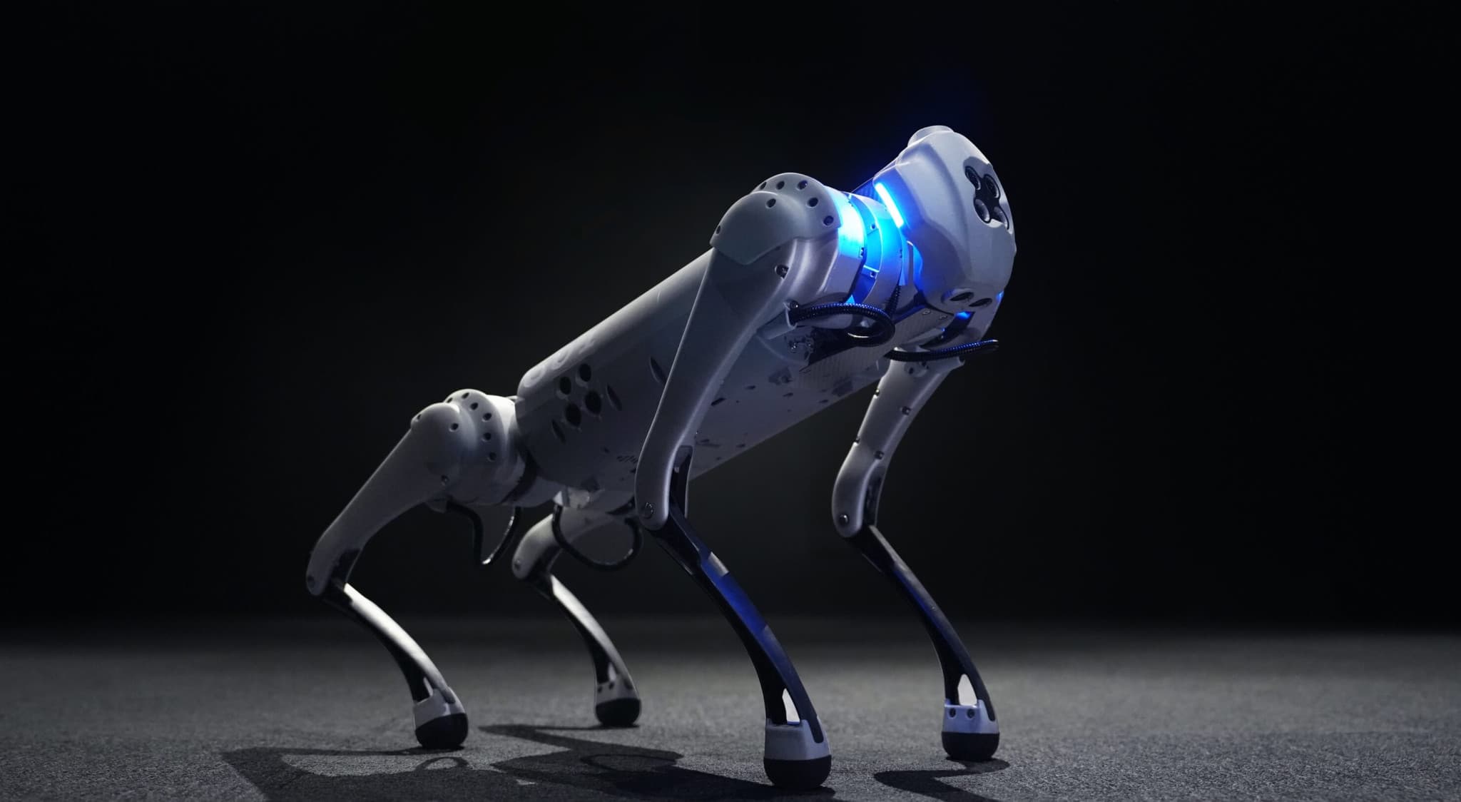 GO1 Personal Companion
