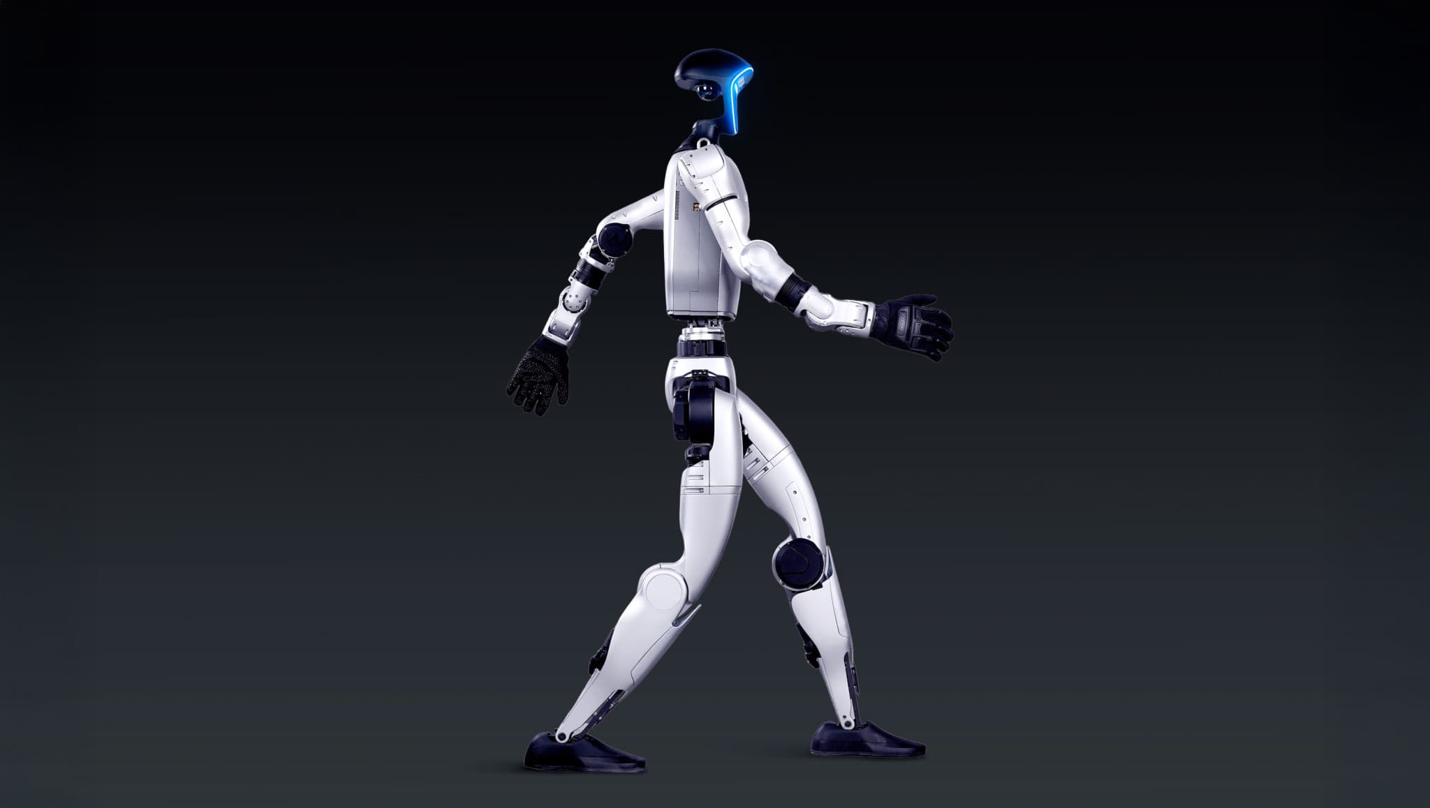 G1 Domestic Help